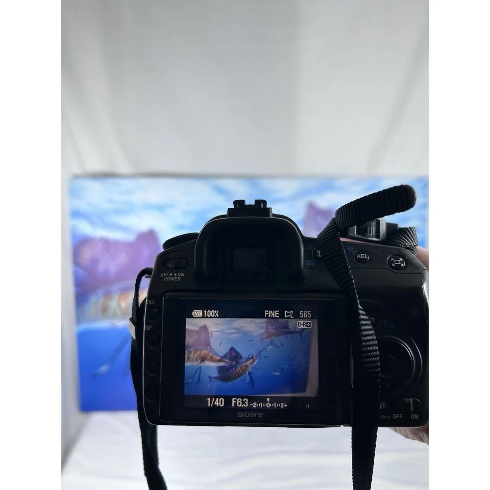 Sony A300 DSLR Camera With 18-70 Lens Camera Bag Battery Sandisk Card & Reader